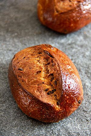 Schokobrötchen (neu). Der Einschnitt des Schokobrötchens mit glänzender Oberfläche ist weit aufgerissen.