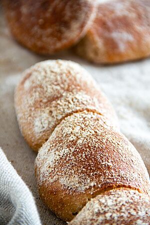 Eine Stange angeschobener Brötchen mit bemehlter, hellbrauner Kruste liegt auf einem grauen Leinentuch.