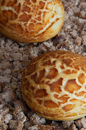 Atacama-Brötchen. Ein fertig gebackenes Atacama-Brötchen mit rissiger Kruste liegt auf kleinen Brotwürfeln.