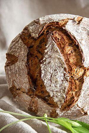 Bärlauchbrot. Das Bärlauchbrot hat eine kräftige, bemehlte und rustikal aufgerissene Kruste.