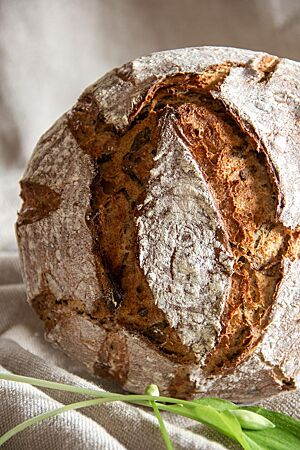 Das Bärlauchbrot hat eine kräftige, bemehlte und rustikal aufgerissene Kruste.