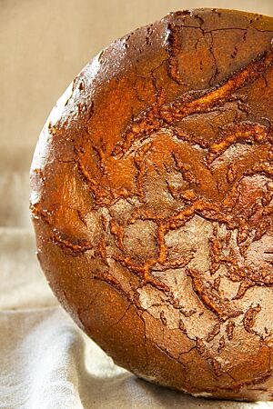 Ein großer, stark glänzender Laib Brot mit dunkelbraun ausgebackener Kruste steht senkrecht auf einem grauen Leintuch.