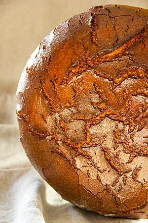 Großes Bauernbrot. Ein großer, stark glänzender Laib Brot mit dunkelbraun ausgebackener Kruste steht senkrecht auf einem grauen Leintuch.
