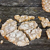 Das runde, durchgetrocknete Schüttelbrot wurde in mehrere Teile gebrochen.