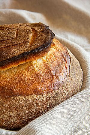 Das kräftig ausgebackene Pain Chapeau mit kreisförmig aufgerissener Kruste liegt auf einem Leinentuch.