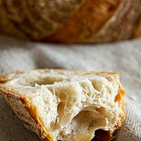 Ein abgeschnittenes und auseinandergebrochenes Stück Brot zeigt die elastische Krume umgeben von der kräftigen Kruste.