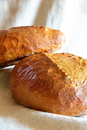 Das kräftig ausgebackene Dinkelbrot hat eine glänzende und gefensterte Kruste.