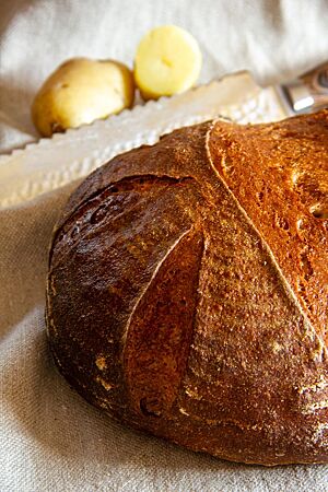 Dinkelkartoffelbrot. Ein runder, dunkelbraun glänzender Laib mit dekorativen Einschnitten liegt auf einem Leintuch.