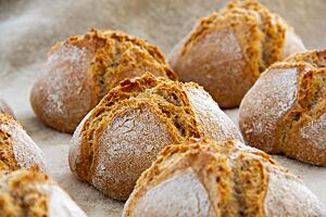 Dinkelbrötchen mit Vollkornanteil. Die Dinkelbrötchen mit rustikal aufgerissener, bemehlter Kruste liegen auf einem Leinentuch.