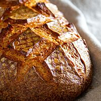 Der knusprige, goldbraun ausgebackene Laib Brot aus dem ersten Backversuch hat eine glänzende, rautenförmig eingeschnittene Kruste.