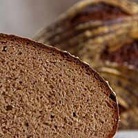 Ein halbierter Laib lässt die kleinporige, kompakte Krume und die dunkelbraune Kruste des Brotes gut erkennen.