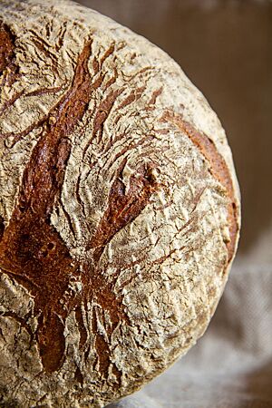 Das kräftig ausgebackene Weizenmischbrot hat eine leicht bemehlte, krosse Kruste.