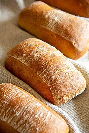 Drei ausgebackene Weizenmischbrötchen liegen mit glatter, leicht bemehlter Kruste in einem Leinentuch.