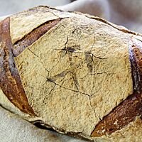 Das längliche Plötziade-Brot Nr. 1 ist an beiden Enden auf der Oberseite kreuzförmig eingeschnitten.
