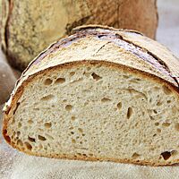 Angeschnitten zeigt das Plötziade-Brot Nr. 1 seinen hohen Brotquerschnitt und die lockere, elastische Krume.