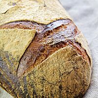 Das kräftig ausgebackene Plötziade-Brot Nr. 1 mit stark bemehlter und gefensterter Kruste liegt auf einem Leinentuch.