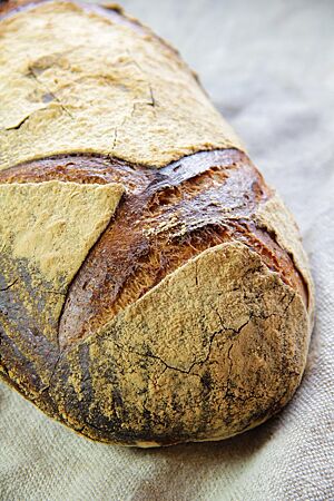 Das kräftig ausgebackene Plötziade-Brot Nr. 1 mit stark bemehlter und gefensterter Kruste liegt auf einem Leinentuch.