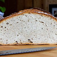 Das Abfrisch-Brot im Anschnitt zeigt die unregelmäßige Porung und die lockere, elastische Krume.