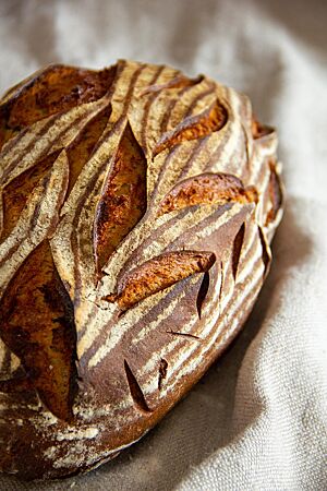 Ein Kartoffelbrot mit kräftiger Kruste. Die Oberfläche des Brotes wurde mit einem Muster, das an eine Getreideähre erinnert, eingeschnitten.