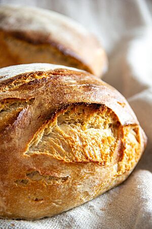 Das goldbraun ausgebackene Brot nach Art eines Pain Campaillou ist rustikal aufgerissen und liegt auf einem Leinentuch.