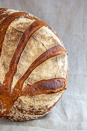 Neudorfer Sauerteigbrot Nr. 1. Das fächerförmig eingeschnittene, kräftig ausgebackene Neudorfer Sauerteigbrot mit leicht bemehlter Kruste steht aufrecht auf einem Leinentuch.