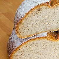 Der Anschnitt des Farb-Brot aus dem ersten Backversuch offenbart den flachen Brotquerschnitt mit kleinporiger Krume.