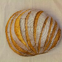 Das Farb-Brot hat eine goldgelb ausgebackene, leicht gefensterte und bemehlte Kruste mit mehreren Einschnitten auf der Oberfläche.
