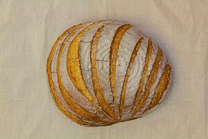 Das Farb-Brot hat eine goldgelb ausgebackene, leicht gefensterte und bemehlte Kruste mit mehreren Einschnitten auf der Oberfläche.