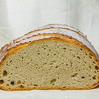 Im Anschnitt zeigt sich das Farb-Brot kleinporig mit lockerer Krume umgeben von einer krossen Kruste.