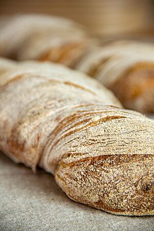 Ein verdrehtes Wurzelbrot mit bemehlter Kruste liegt auf einem Leinentuch.