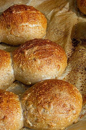 Jeweils zwei Brötchen liegen aneinandergebacken auf einem Backpapier.