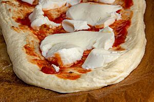 Pizzateig mit Biga und Hartweizen. Der Pizza-Teigling ist dünn mit Tomatensauce bestrichen und Mozzarellascheiben belegt.