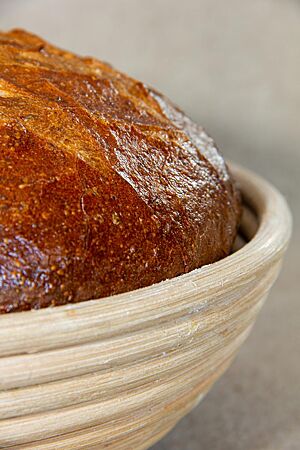 Freigeschobenes Dinkelbrot. Ein goldbraun ausgebackenes Dinkelbrot mit glänzender, gefensterter Kruste liegt in einem Gärkorb aus Peddigrohr.