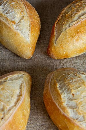 Vier goldgelb ausgebackene, spitz zulaufende Sachsenbrötchen mit aufgerissener Kruste liegen auf einem Leinentuch.