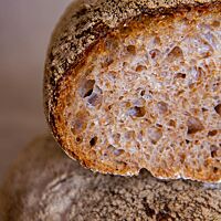 Die lockere, elastische Krume des Basler Brotes hat mittelgroße Poren.
