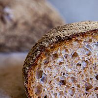 Das Basler Brot im Anschnitt zeigt die mittelporige, lockere Krume umgeben von der sehr scharf gebackenen Kruste.