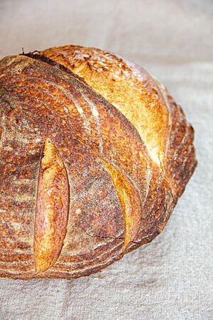 Ein kräftig ausgebackenes, rustikal aufgerissenes Weizenbrot liegt auf einem Leinentuch.