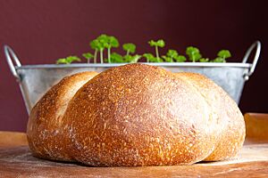 Weißbierbrot. Das goldbraun ausgebackene Weißbierbrot hat eine leicht glänzende Kruste.