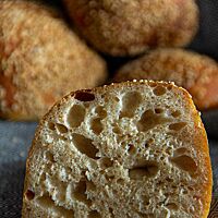 Das Joghurt-Sesam-Brötchen zeigt die mittelporige, elastische Krume umgeben von der goldbraunen Sesamkruste.