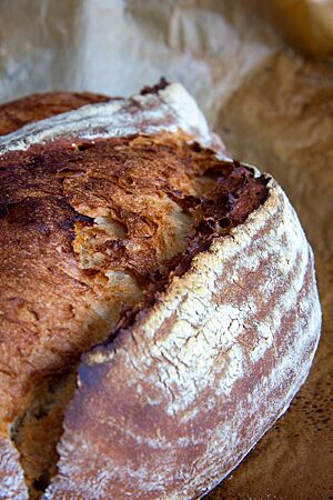 Dunkles Bauernbrot. Das Bauernbrot hat eine kräftig ausgebackene, rustikal aufgerissene und leicht bemehlte Kruste.
