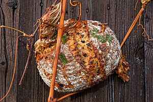 Linsenbrot. Das rustikal aufgerissene, leicht bemehlte Linsenbrot mit Petersilienstängeln auf der Kruste liegt auf einem Holztisch und ist mit einer alten Weinranke dekoriert.