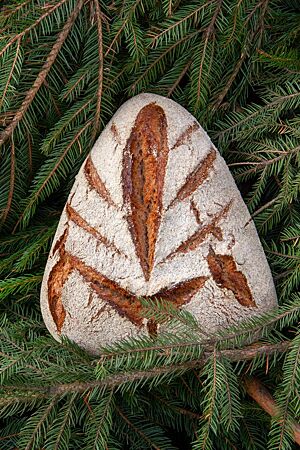 Weihnachtsbrot (2011) – Glühwein & Spekulatius. Ein Weihnachtsbrot in Form eines gleichschenkligen Dreieckes steht auf einem Tannenzweig.