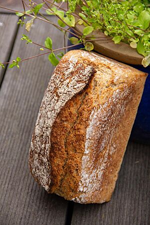 Das Dinkelbrot mit 25% Gerstenflocken in Form eines Kastenbrotes lehnt an einem Blumentopf.