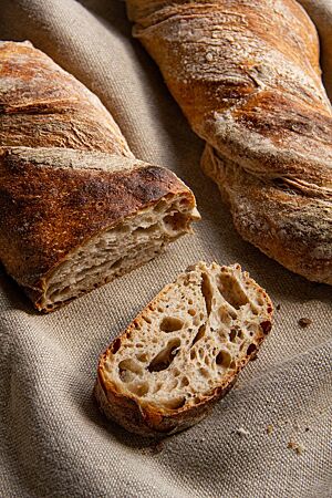 Wurzelbrot mit Roggenschrot. Das kräftig ausgebackene, leicht bemehlte Wurzelbrot mit Roggenschrot zeigt im Anschnitt die offenporige, luftige Krume.