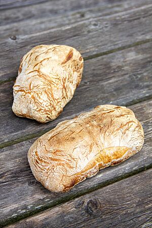 Zwei kleine, goldgelb ausgebackene Ciabattas mit bemehlter Kruste liegen auf einem rustikalen Holztisch.