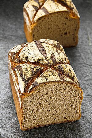 Im Anschnitt des „no knead“-Roggenkastenbrotes wird die kräftig ausgebackene Kruste und die lockere, kleinporige Krume sichtbar.