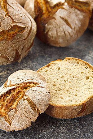 Die „no knead“-Roggenbrötchen sind locker und elastisch mit knuspriger, rustikal aufgerissener Kruste.