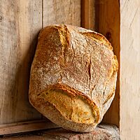Das kräftig ausgebackene, rustikal aufgerissene Toskanische Brot mit Salz lehnt an einer Holzwand.