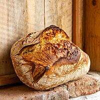 Das kräftig ausgebackene Weizensauerteigruchbrot ist auf der Oberfläche rustikal aufgerissen und leicht bemehlt.