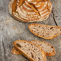 Das Landbrot hat eine rustikal aufgerissene, kräftig ausgebackene Kruste und eine luftige, elastische Krume.
